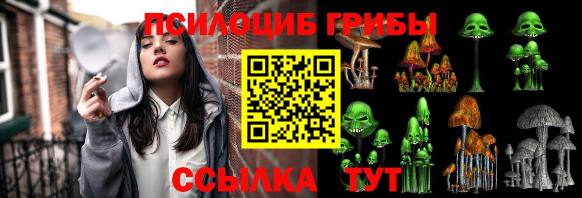 Октябрьский  Псилоцибиновые грибы MAGIC MUSHROOMS  Вход с VPN 